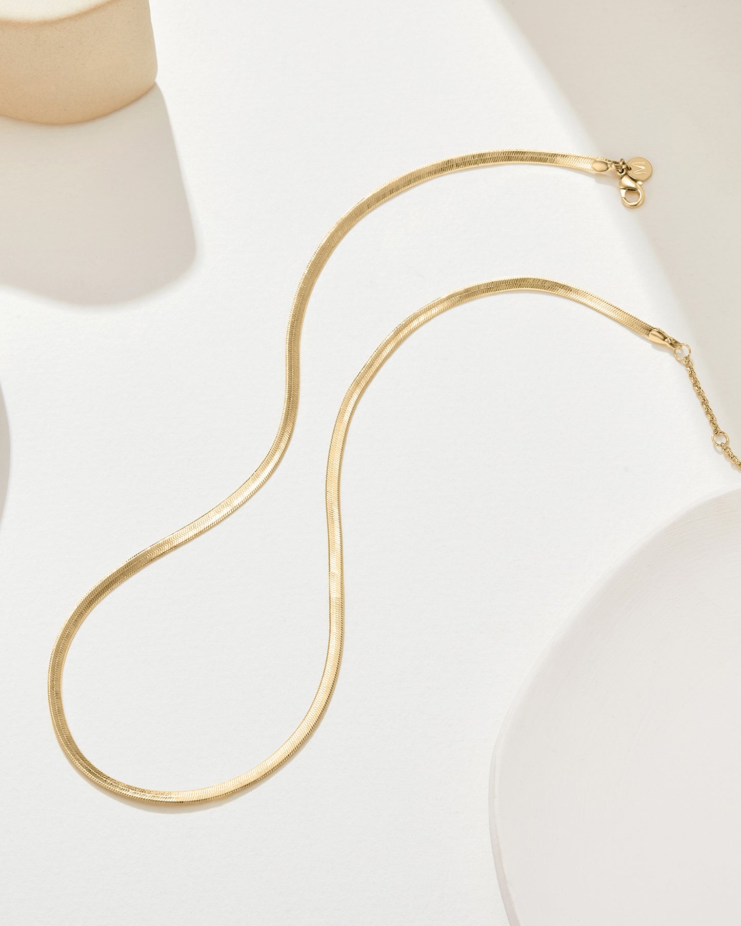 Sleek Snake Chain Necklace